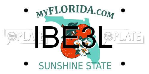 IBE3L Florida License Plate