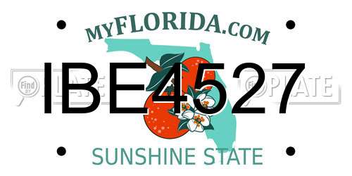IBE4527 Florida License Plate