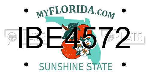 IBE4572 Florida License Plate