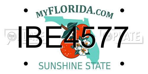IBE4577 Florida License Plate