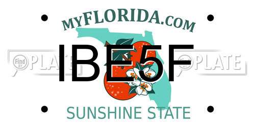 IBE5F Florida License Plate