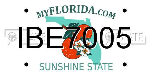 IBE7005 Florida License Plate