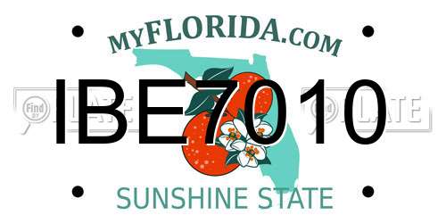 IBE7010 Florida License Plate