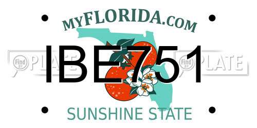 IBE751 Florida License Plate