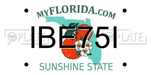 IBE75I Florida License Plate