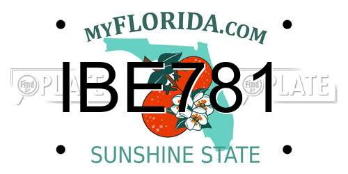 IBE781 Florida License Plate