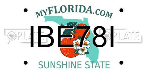 IBE78I Florida License Plate