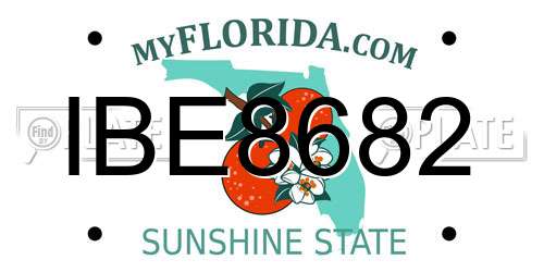 IBE8682 Florida License Plate