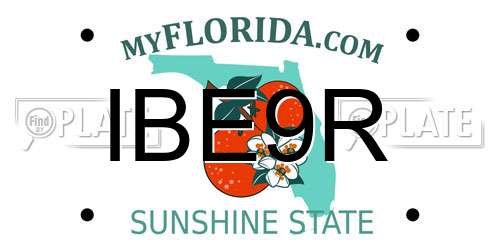 IBE9R Florida License Plate