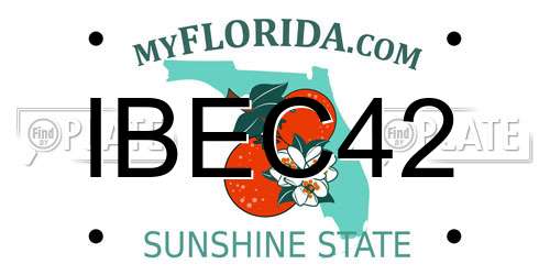 IBEC42 Florida License Plate