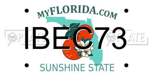 IBEC73 Florida License Plate
