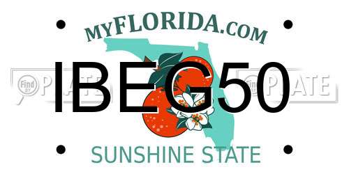 IBEG50 Florida License Plate