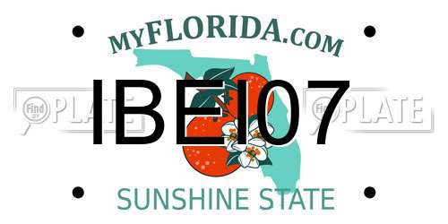 IBEI07 Florida License Plate