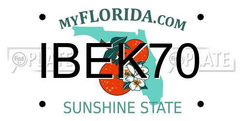 IBEK70 Florida License Plate