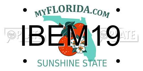 IBEM19 Florida License Plate