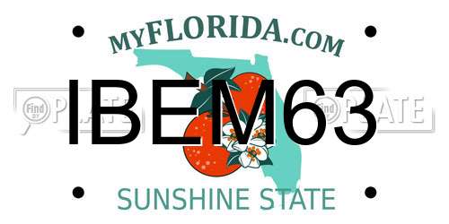 IBEM63 Florida License Plate