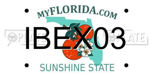 IBEX03 Florida License Plate