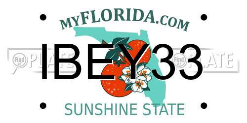 IBEY33 Florida License Plate