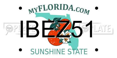 IBEZ51 Florida License Plate