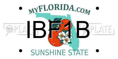 IBF1B Florida License Plate