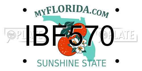 IBF570 Florida License Plate