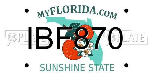 IBF870 Florida License Plate