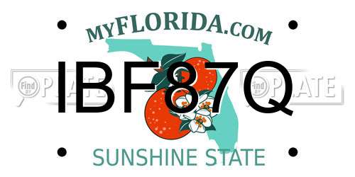 IBF87Q Florida License Plate