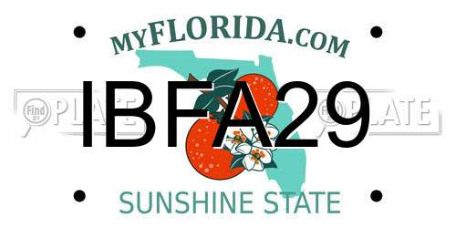 IBFA29 Florida License Plate