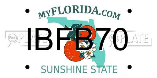 IBFB70 Florida License Plate