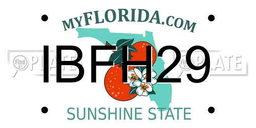 IBFH29 Florida License Plate