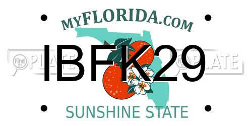 IBFK29 Florida License Plate