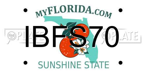 IBFS70 Florida License Plate