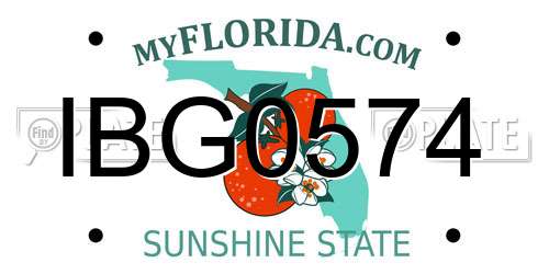 IBG0574 Florida License Plate