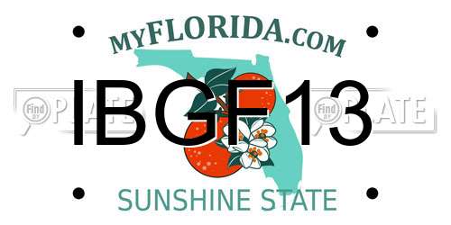 IBGF13 Florida License Plate