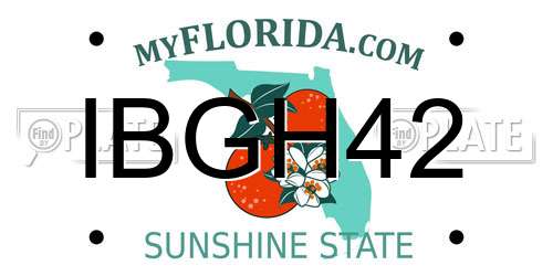 IBGH42 Florida License Plate