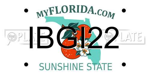 IBGI22 Florida License Plate