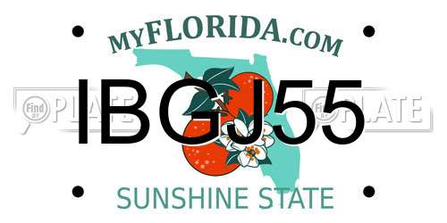 IBGJ55 Florida License Plate