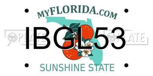 IBGL53 Florida License Plate