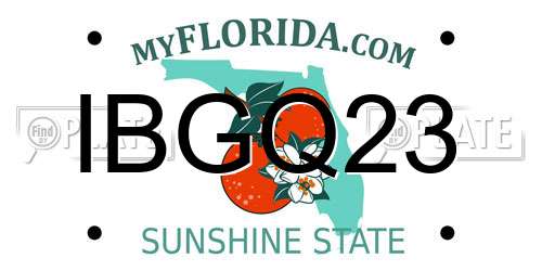 IBGQ23 Florida License Plate