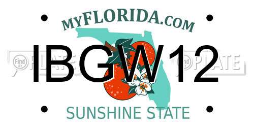 IBGW12 Florida License Plate