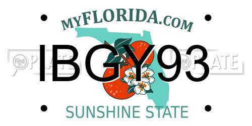 IBGY93 Florida License Plate