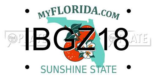 IBGZ18 Florida License Plate