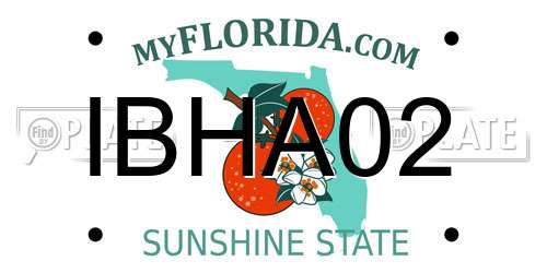 IBHA02 Florida License Plate