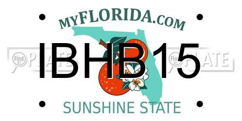 IBHB15 Florida License Plate