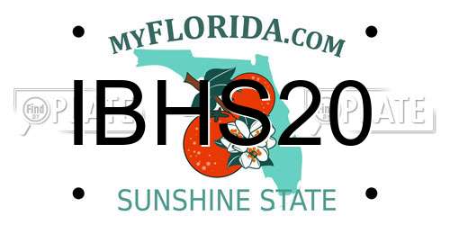 IBHS20 Florida License Plate