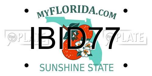 IBID77 Florida License Plate