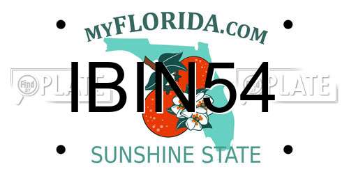 IBIN54 Florida License Plate