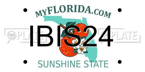 IBIS24 Florida License Plate