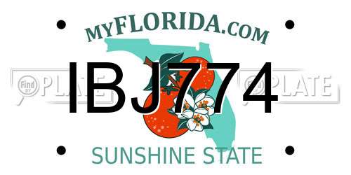 IBJ774 Florida License Plate