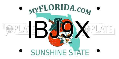 IBJ9X Florida License Plate